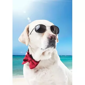 とよしげ