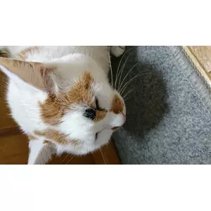 じゅん