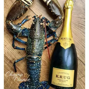 ブリア・サヴァラン