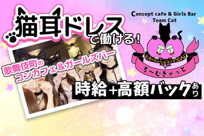 cafe&Girls Bar Team Cat