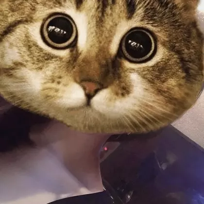 ちか