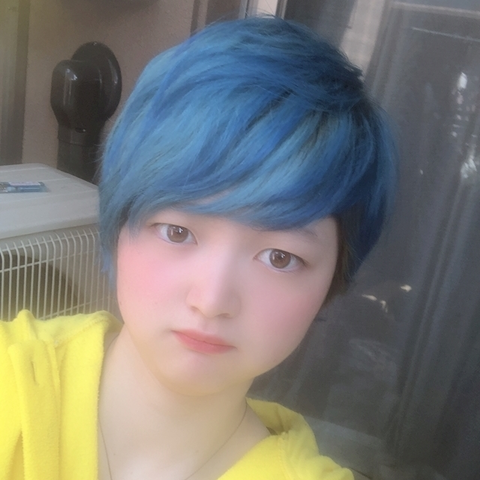 夏蝶