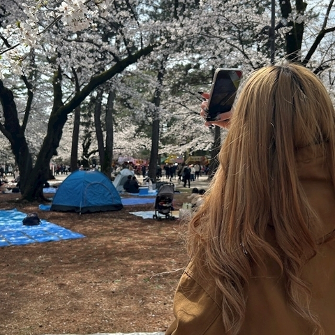 ひな