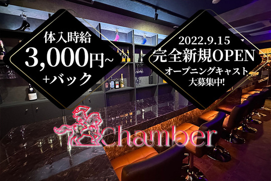 Girl S Bar Chamber シャンベル 新宿区高田馬場 ガールズバー の求人情報 ガールズバースタイル求人