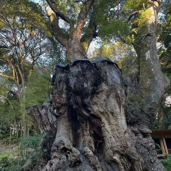三島女どれみ・カフェ