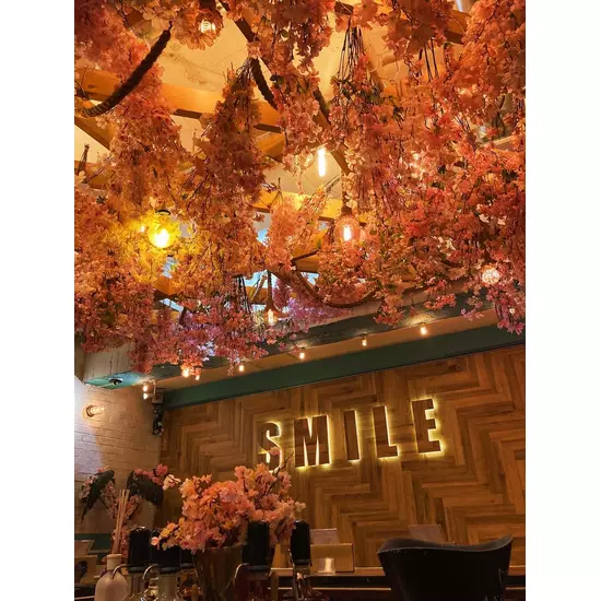 Girl’sBar Lounge Smile Terrace 