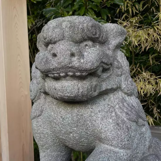 三島女どれみ・カフェ