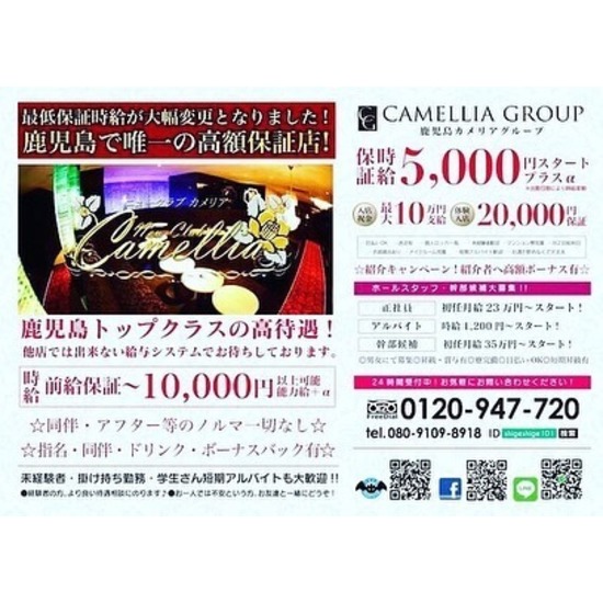 New Club Camellia