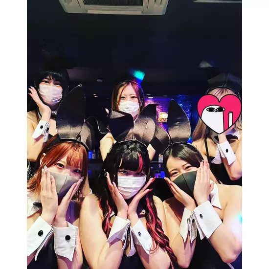Party Bunny