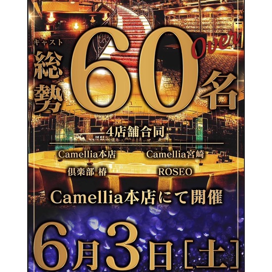 New Club Camellia