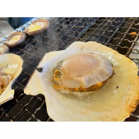 満月