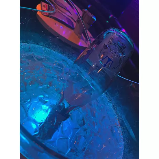 Party Bunny