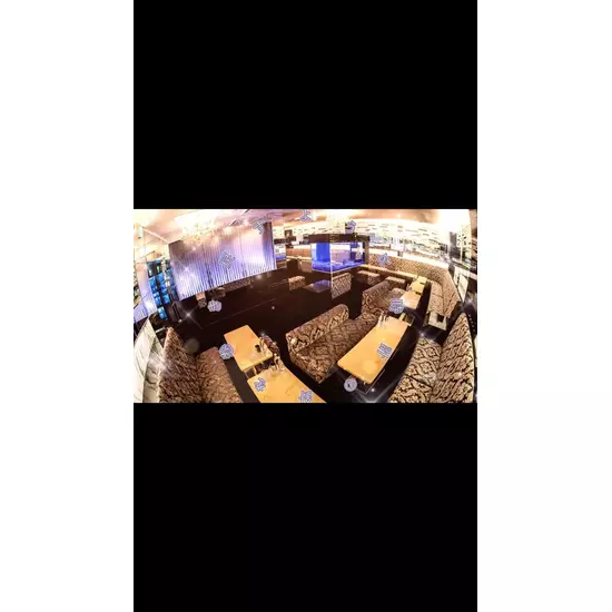 New Club Camellia