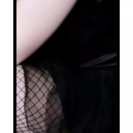 Bunny Bunny