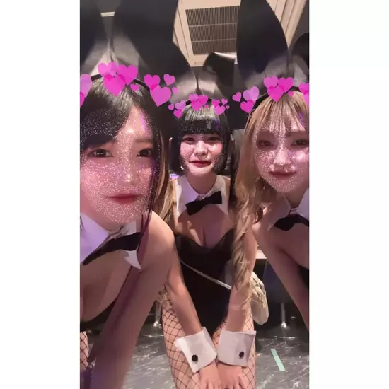 Party Bunny