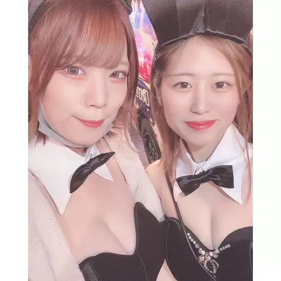 Party Bunny