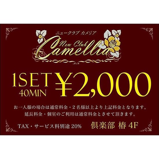 New Club Camellia