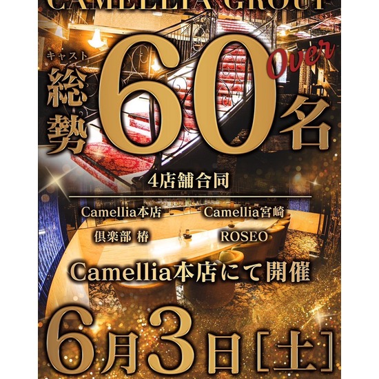 New Club Camellia