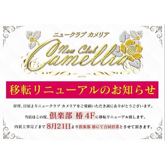 New Club Camellia