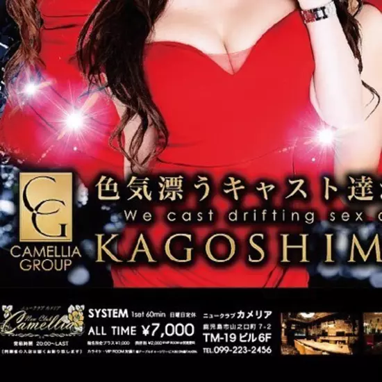 New Club Camellia