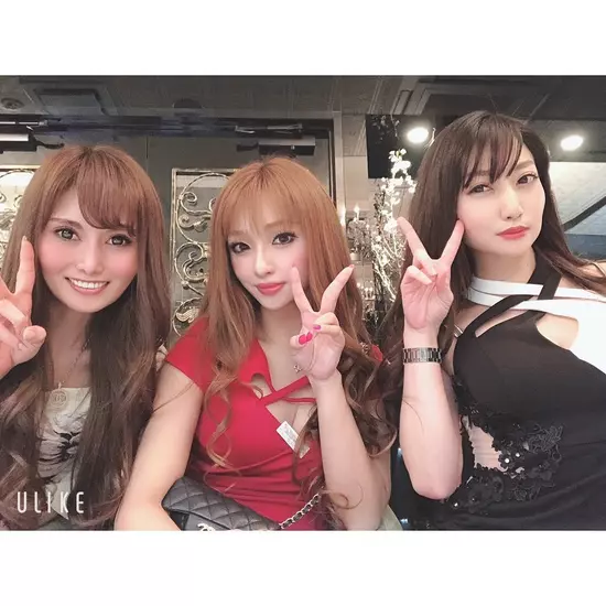 New Club Camellia