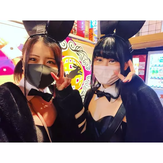 Party Bunny