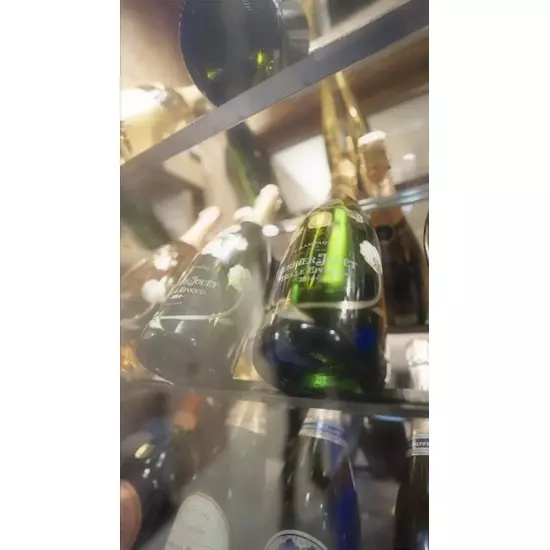 絲紋