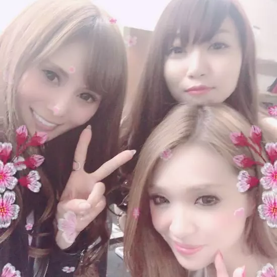 New Club Camellia