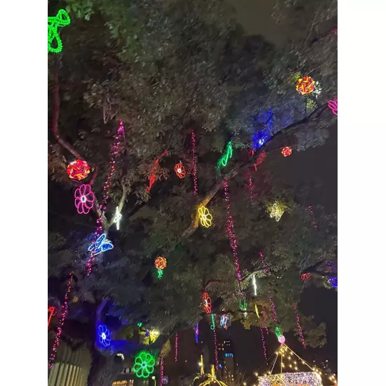 コスプレGirlsBar Ring