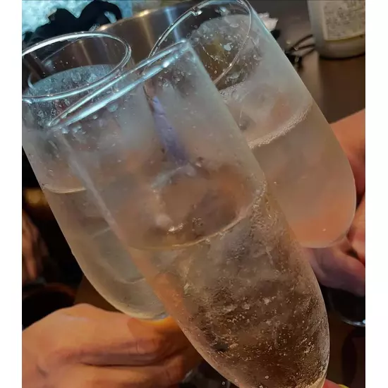 Girl's Bar Fun