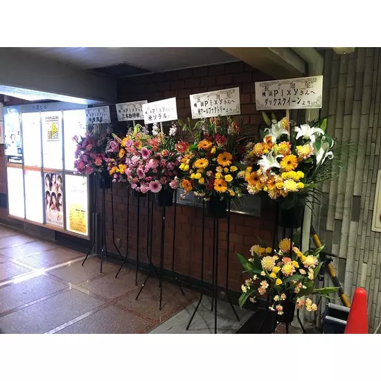 Pixy YOKOHAMA