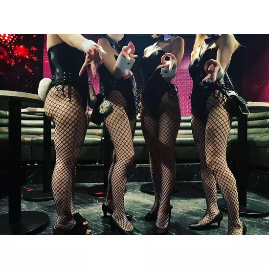 Party Bunny