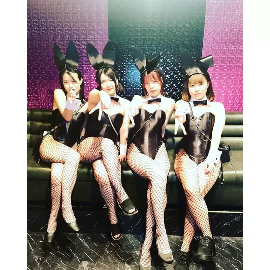 Party Bunny
