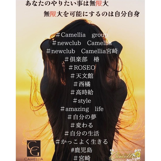 New Club Camellia