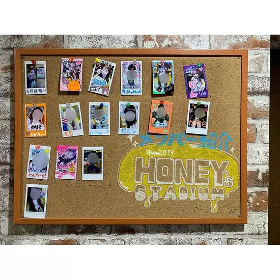HONEY'S STADIUM