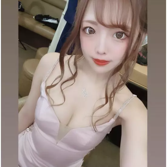 New Club Camellia