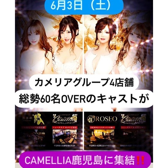 New Club Camellia