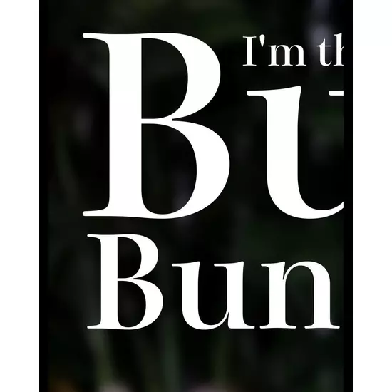 Bunny Bunny