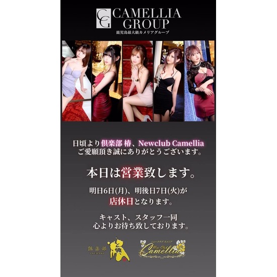 New Club Camellia