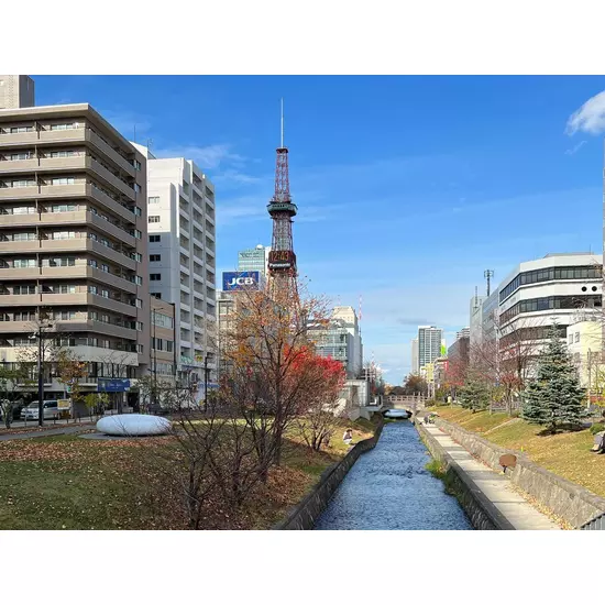 Pixy YOKOHAMA