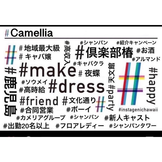 New Club Camellia