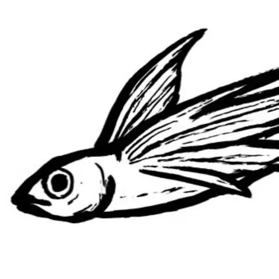 三島女どれみ・カフェ