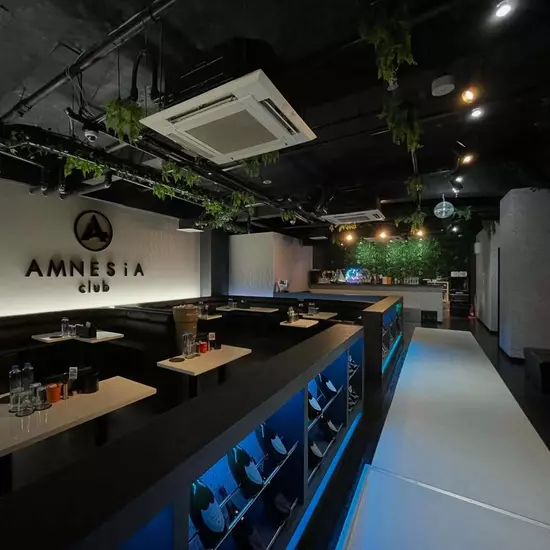 AMNESiA-club