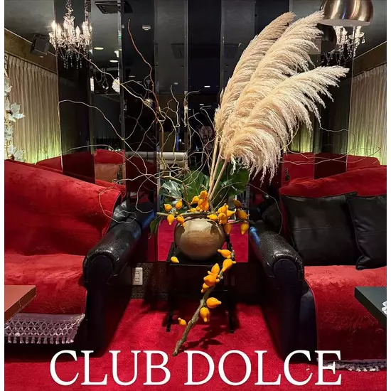 CLUB DOLCE