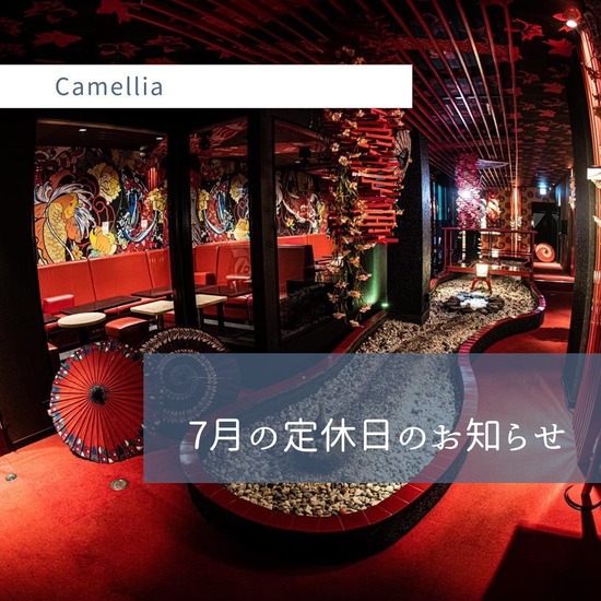 New Club Camellia