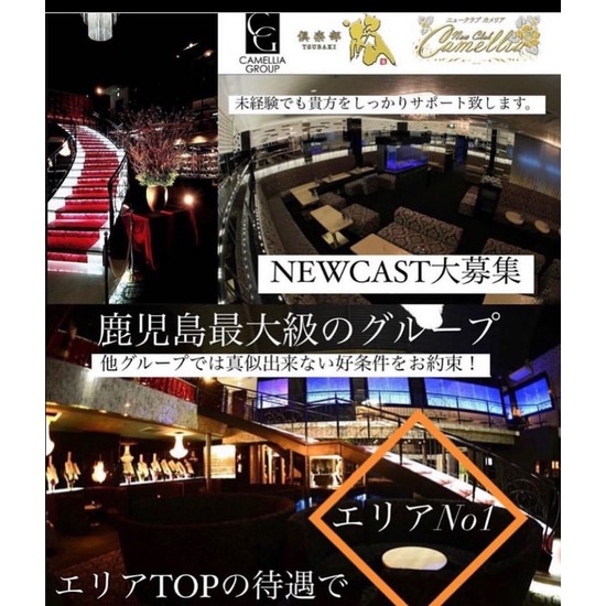 New Club Camellia