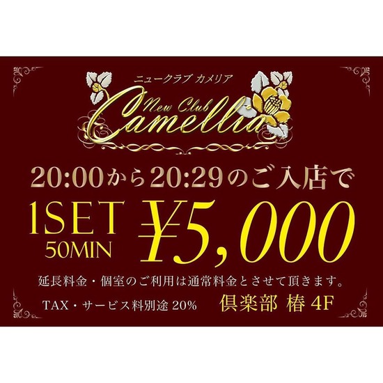 New Club Camellia