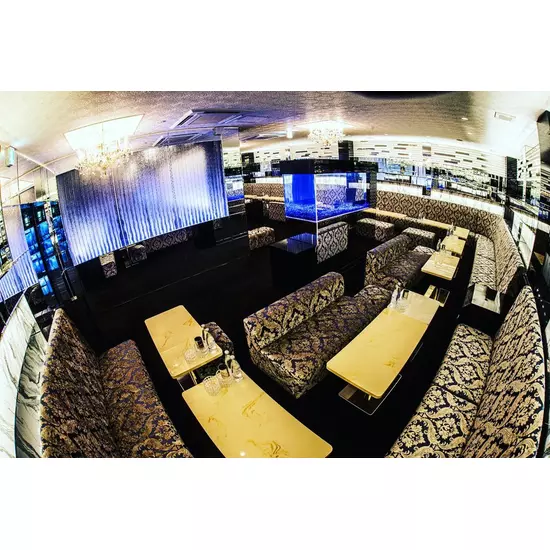 New Club Camellia