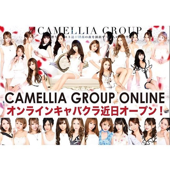 New Club Camellia