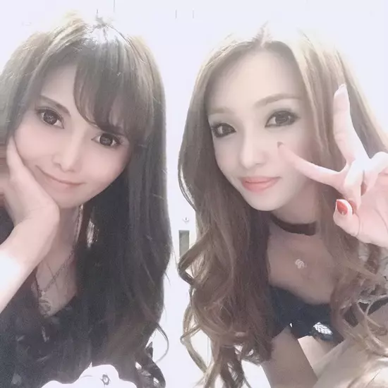 New Club Camellia